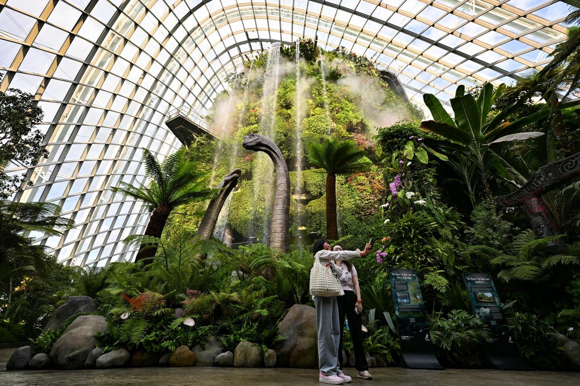 FLOWER DOME & CLOUD FOREST (FEATURING JURASSIC WORLD: THE EXPERIENCE)