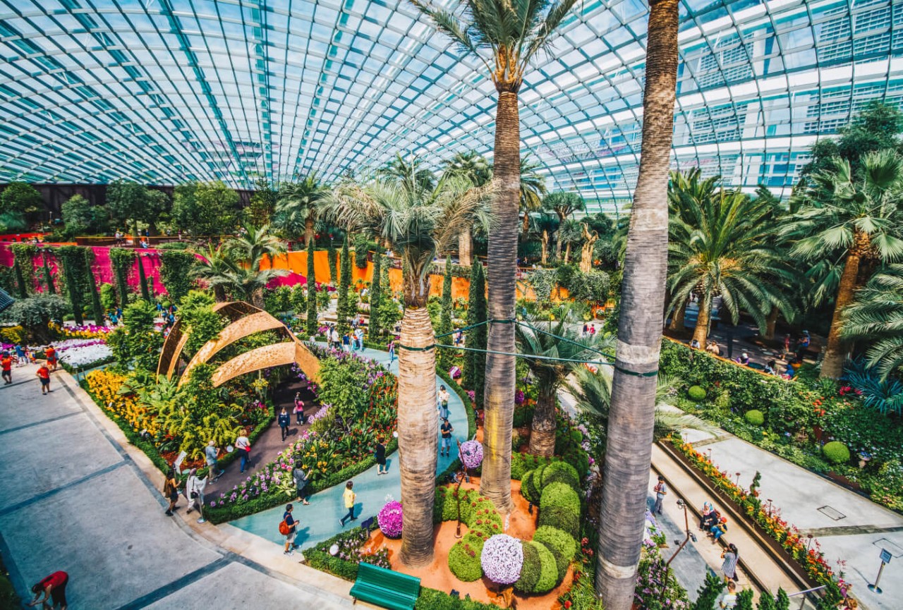 FLOWER DOME & CLOUD FOREST (FEATURING JURASSIC WORLD: THE EXPERIENCE)