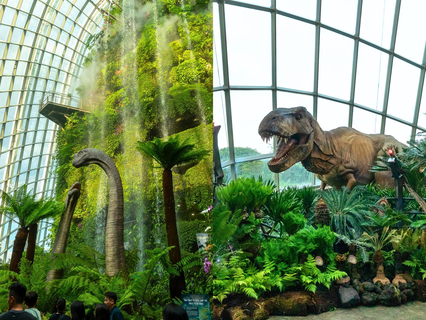 FLOWER DOME & CLOUD FOREST (FEATURING JURASSIC WORLD: THE EXPERIENCE)