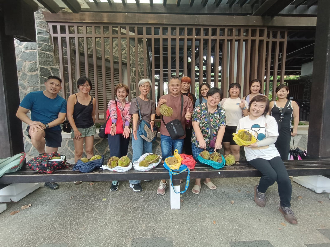 🍈 Pulau Ubin Durian Season Tour 2026: Heritage, Nature & Fresh Local Durian Experience in Singapore