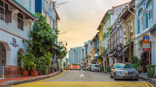 3-Hour Chinatown + Street Mural Walking Tour (Morning)