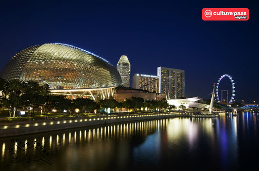 Singapore River Cruise + City Night Walking Tour