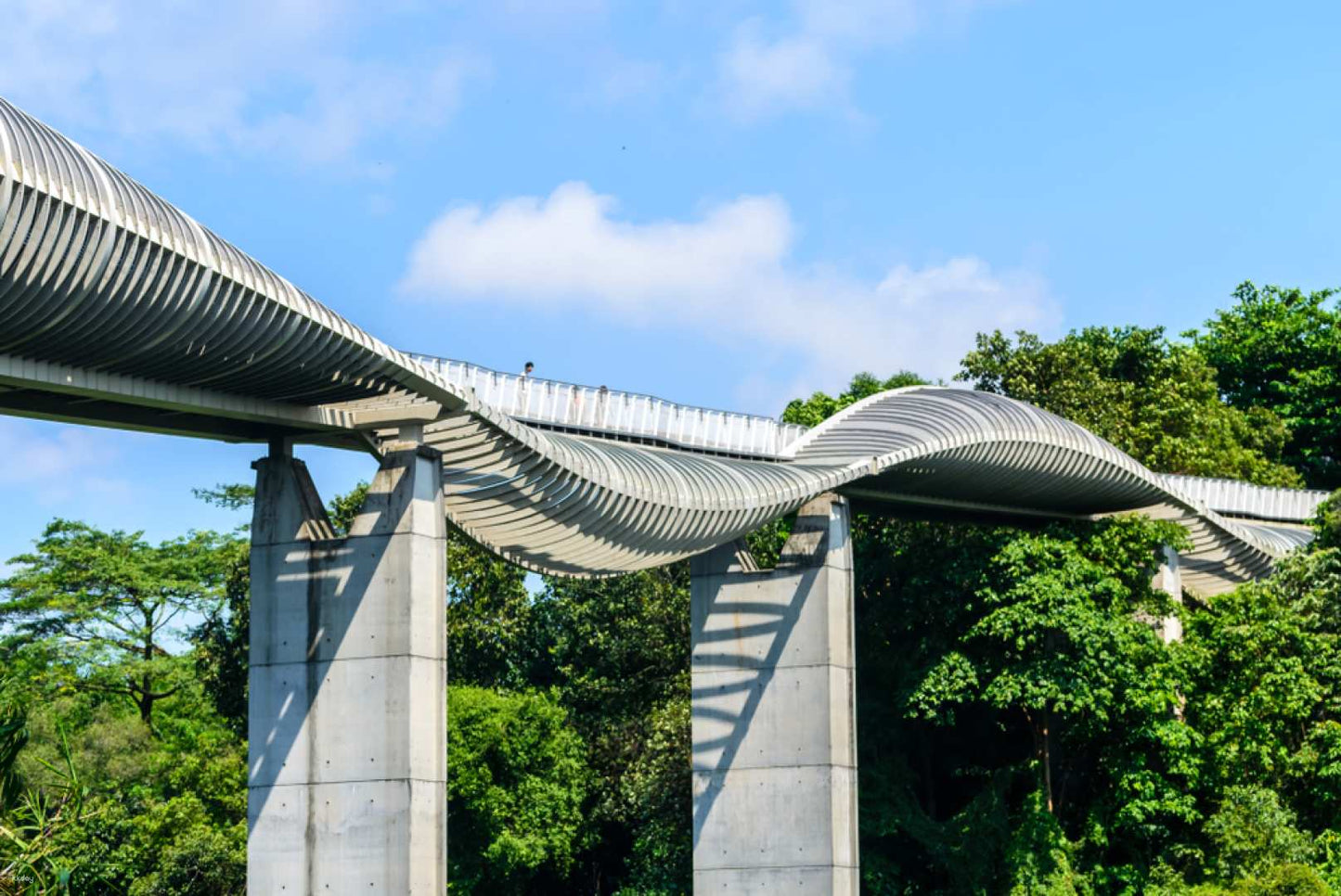 Singapore Day Tour - Southern Attractions