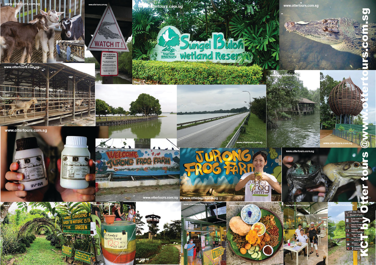 Kranji Countryside Tour with Farm Cafe Lunch and visit to various attractions at Kranji (5hrs)