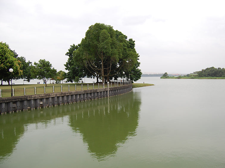 Kranji Countryside Tour with Farm Cafe Lunch and visit to various attractions at Kranji (5hrs)